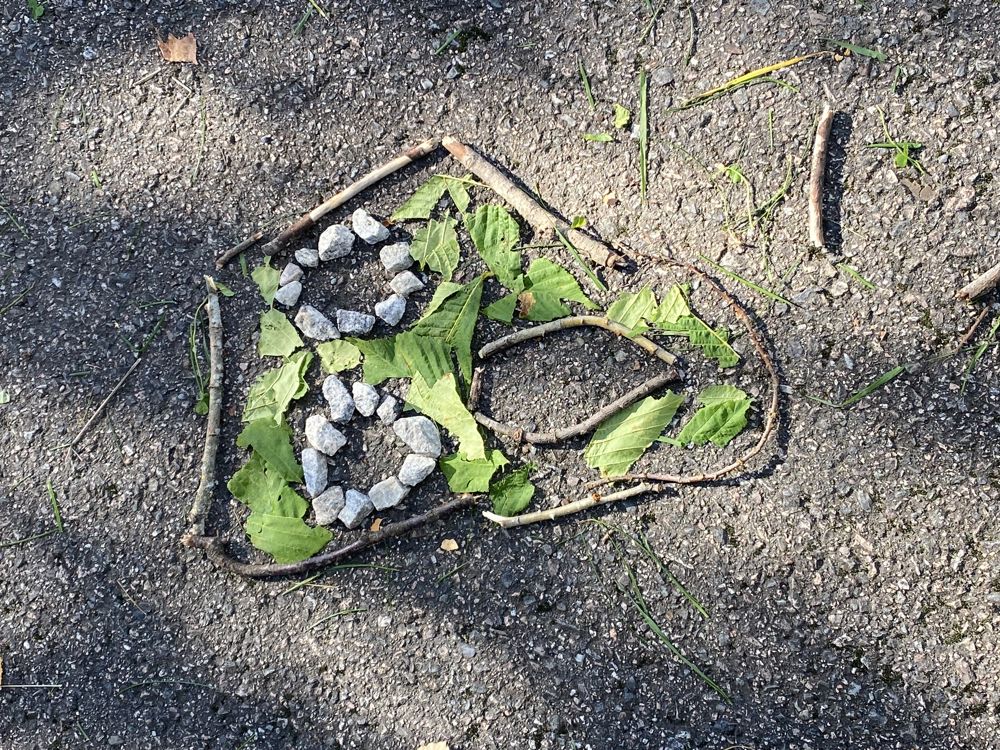 en plante i skitten